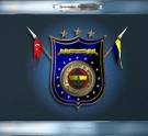 FENERBAHÇEM