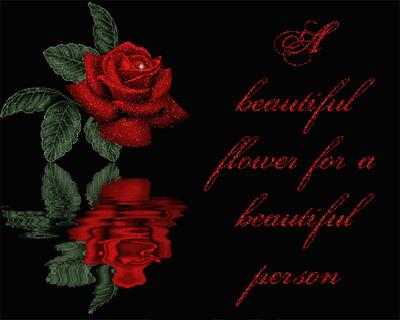 roses