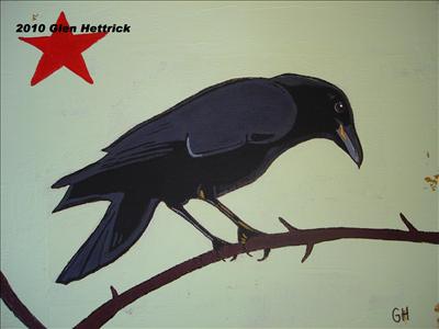 American Crow