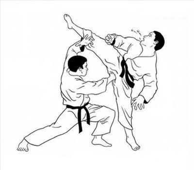 Ninja Junk Punch