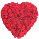 Heart Full Of Llove