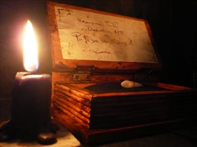 Dente di Dracula in wunderkammer