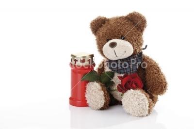 Teddy Bear