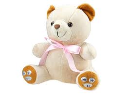 teddy bear