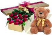 Teddy Bear 