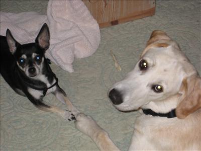 best friends