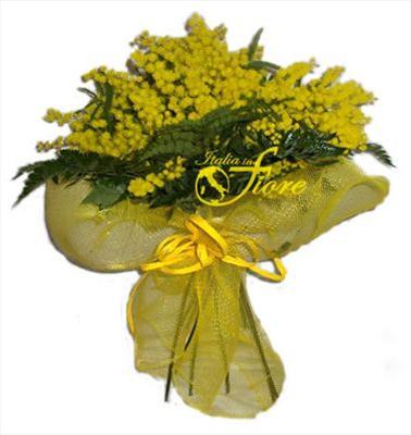 Bouquet di mimose