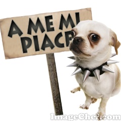 I LOVE DOG