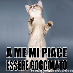 A ME MI PACE ESSERE COCCOLATO