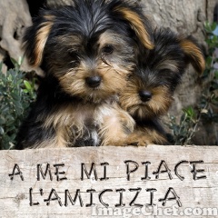 A ME MI PIACE L'AMICIZIA