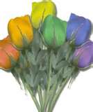 Random Colored Roses