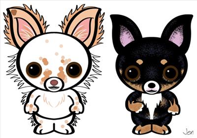 chihuahuas