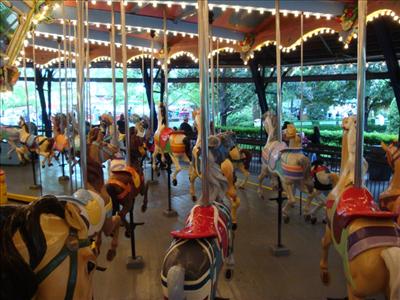 The Carousel