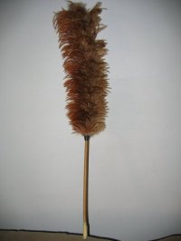 雞毛掃