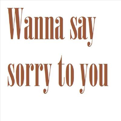 wanna say sorry