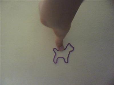 purple dog