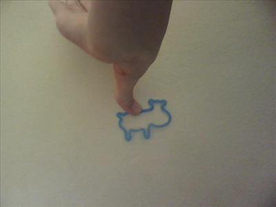 blue big headed cow
