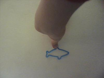 blue shark
