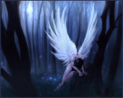 ange