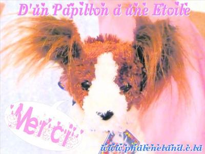 PELUCHE POUPETTE