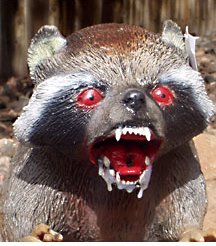 Rabid Raccoon