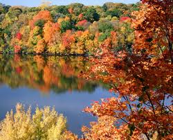 Fall