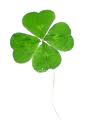 Luck