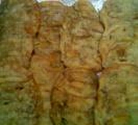 Gorengan Tempe