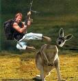 Roundhouse Kick a Kangaroo