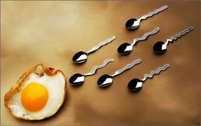 egg and spoon sperm