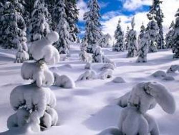 Winter View