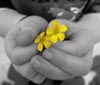 Offering Friendship
