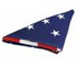 Folded Flag