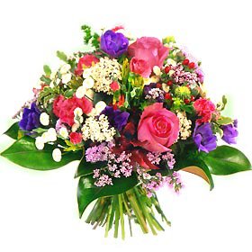 Flower 6