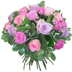 Flower 11