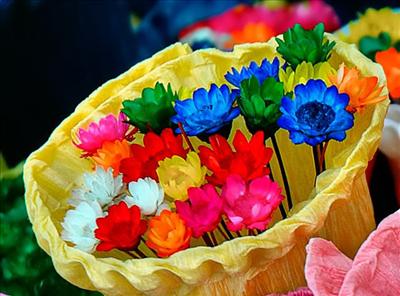 Flower 18