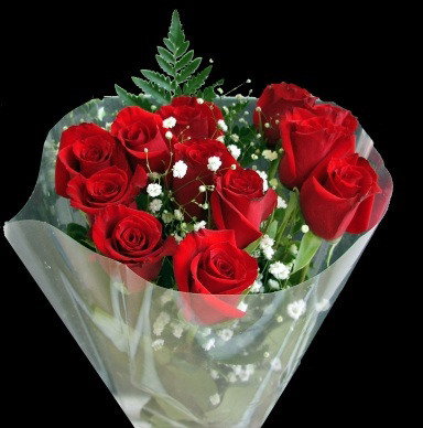 Flower 16
