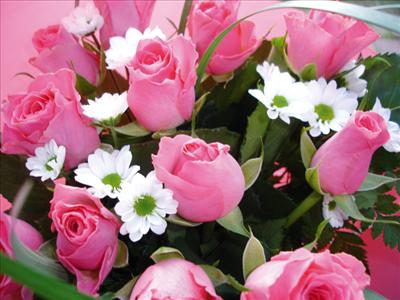 Flower 15