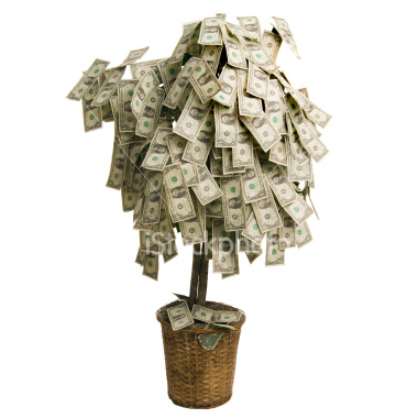 A Money Tree