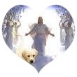 Have A Blessed Day