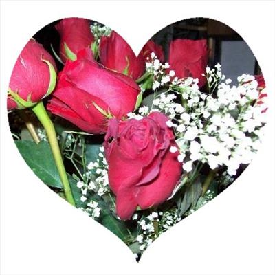 Roses For You