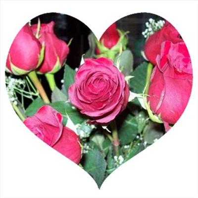 Roses For You