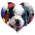 I Wuv You