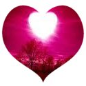 A Special Heart For You