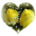 Have A Wonderful Day!