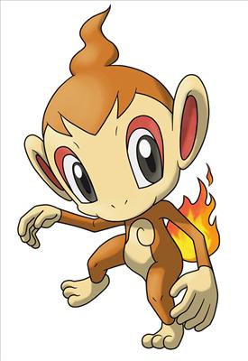 chimchar