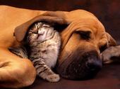 So Cute