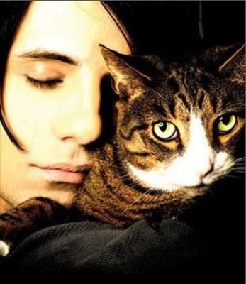 Smexy Cat Cuddle