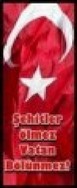 Şehitler Ölmez