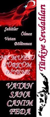 Türkiye Sevdalıları
